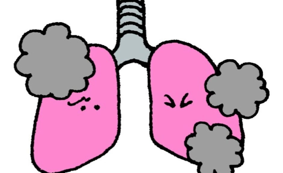 保護具着用管理責任者の学科の講習の依頼を請けてフジタ交通事業部の方にZOOMにて講習して来ました。